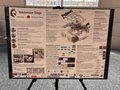 Bodensee Dogs Plakat WM Incheon