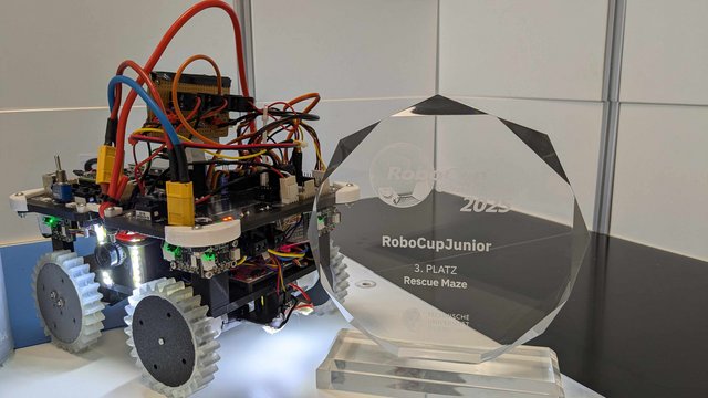 Bodensee Beaver schaffen es auf der Deutschen Meisterschaft auf den 3. Platz